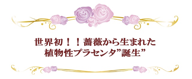 世界初！薔薇から生まれた植物性プラセンタ誕生！