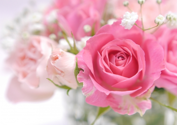 薔薇のプラセンタ専門店・Peau Claireでは薔薇の香りによる癒しもお届けします
