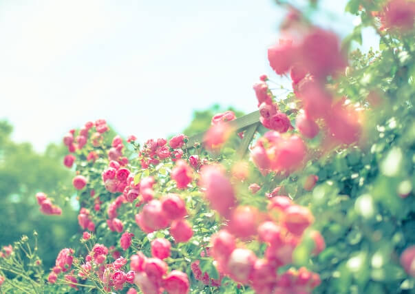 スキンケアで大切な正しいクレンジングと洗顔で美肌を手に入れよう